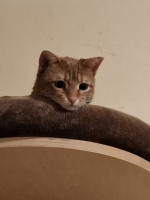 /album/198/whatsapp-image-2026-02-23-at-21-24-17-3-jpeg/